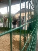  солнечный летний день получатели социальных услуг нашего интерната в очередной раз посетили Нальчикский зоопарк